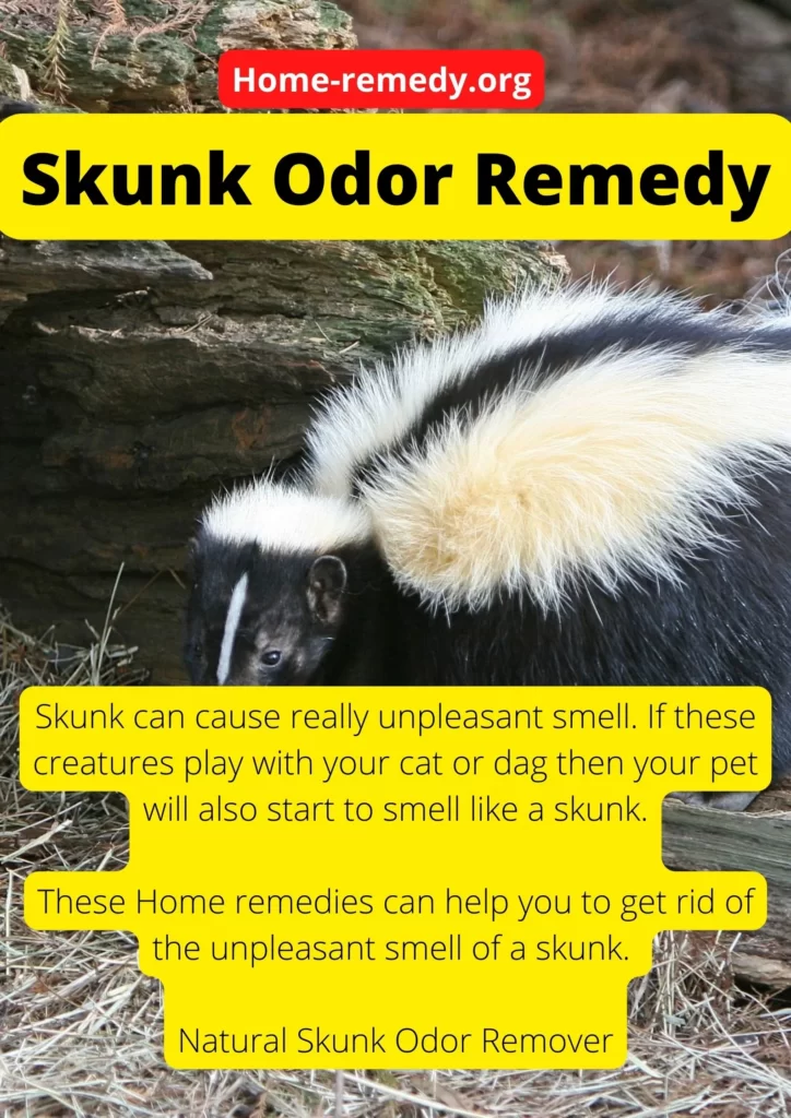 skunk odor remover