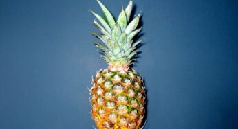 Pineapple Benefits For Skin DIY Pineapple Face Mask