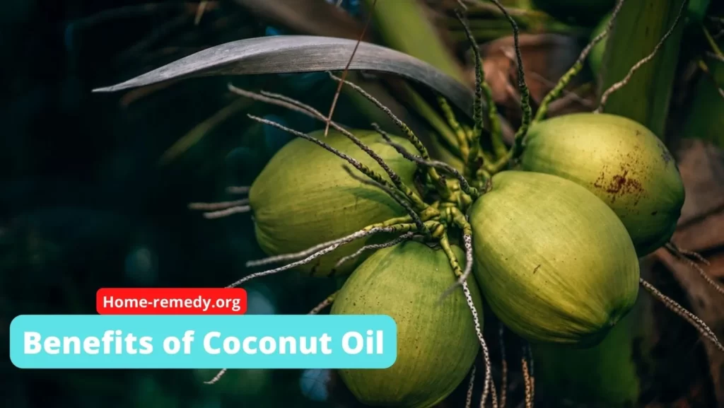 Benefits of Coconut oil